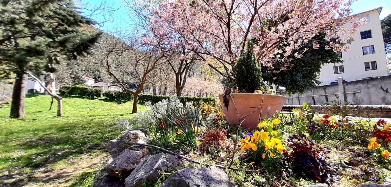 T2 Tout Confort Amélie-les-Bains-Palalda Exterior foto