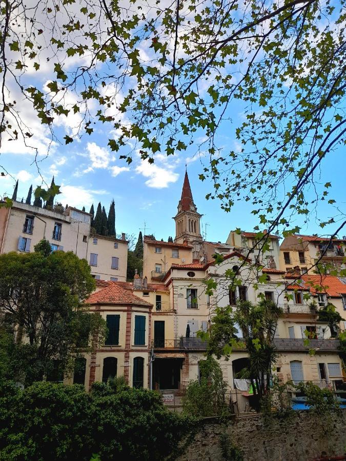T2 Tout Confort Amélie-les-Bains-Palalda Exterior foto