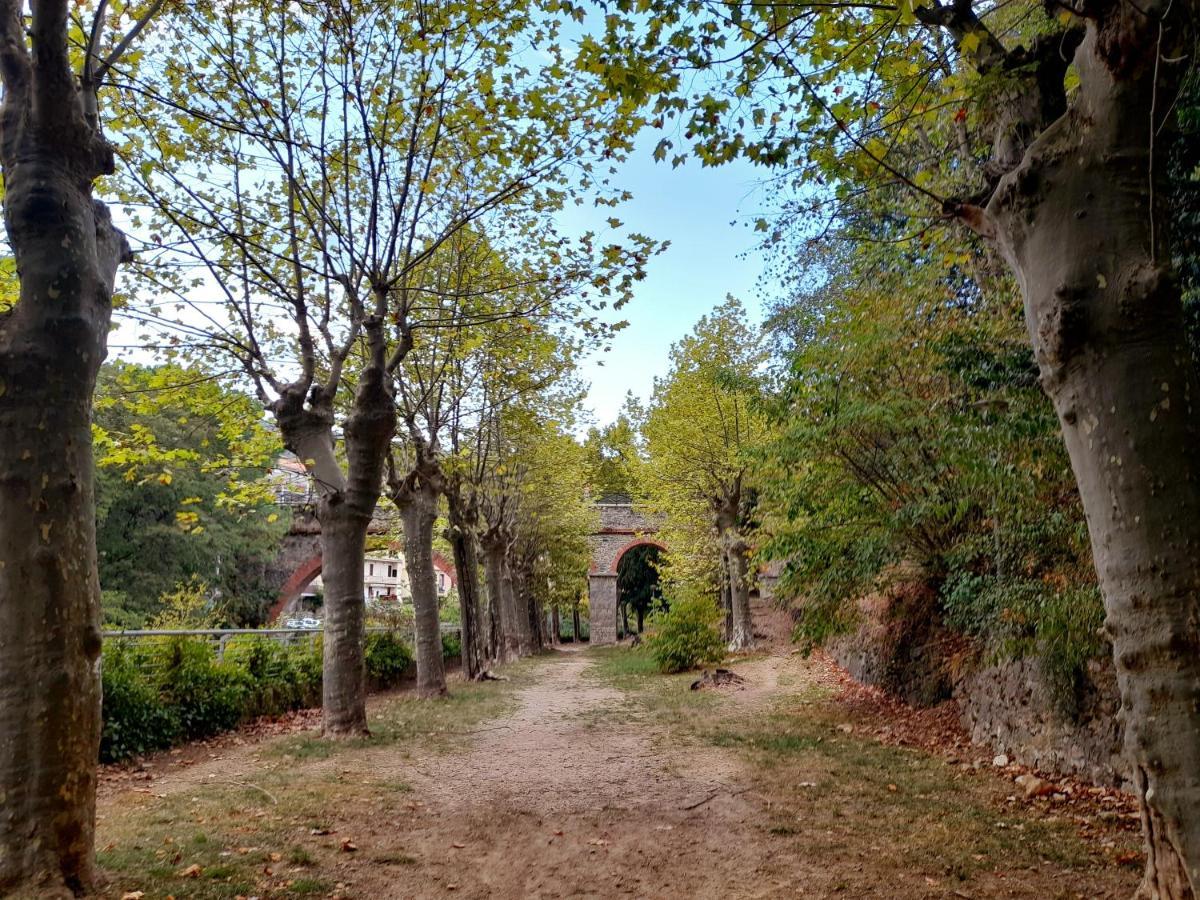 T2 Tout Confort Amélie-les-Bains-Palalda Exterior foto